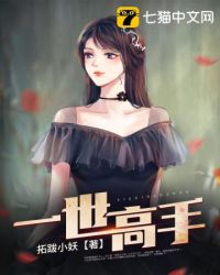 一世豪婿小说